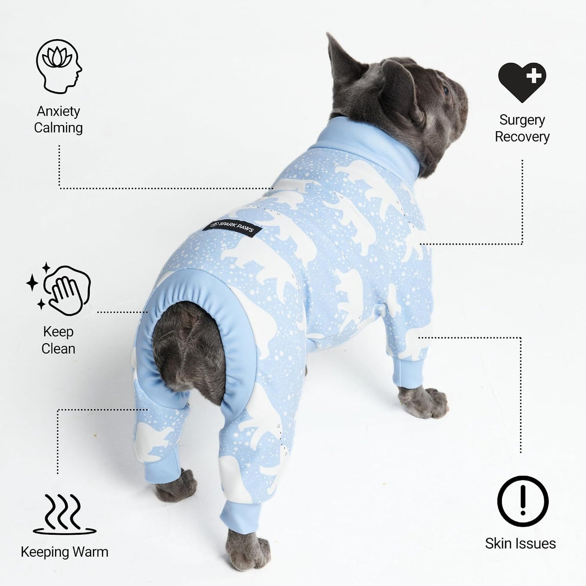 Bear Dog Pajama