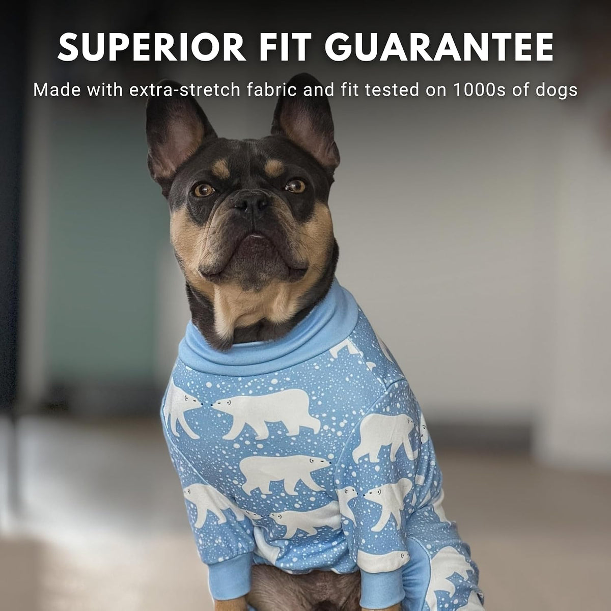 Bear Dog Pajama