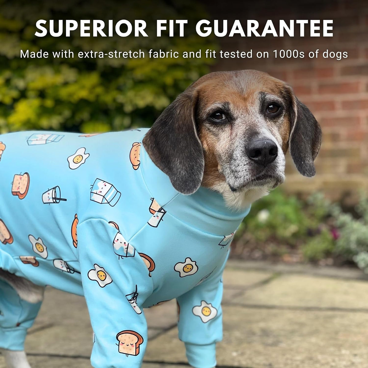 Breakfast Dog Pajama