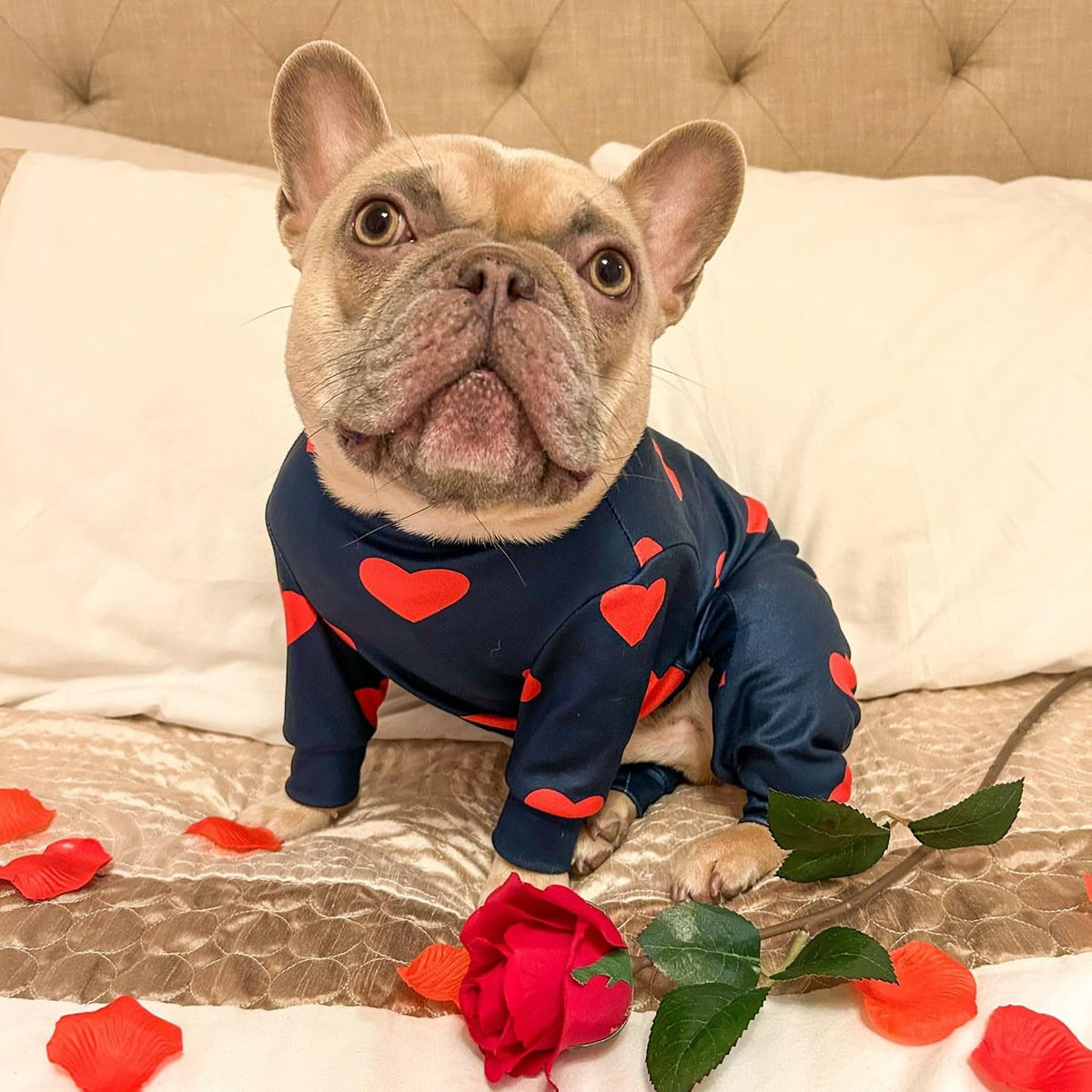 Hearts Dog Pajama