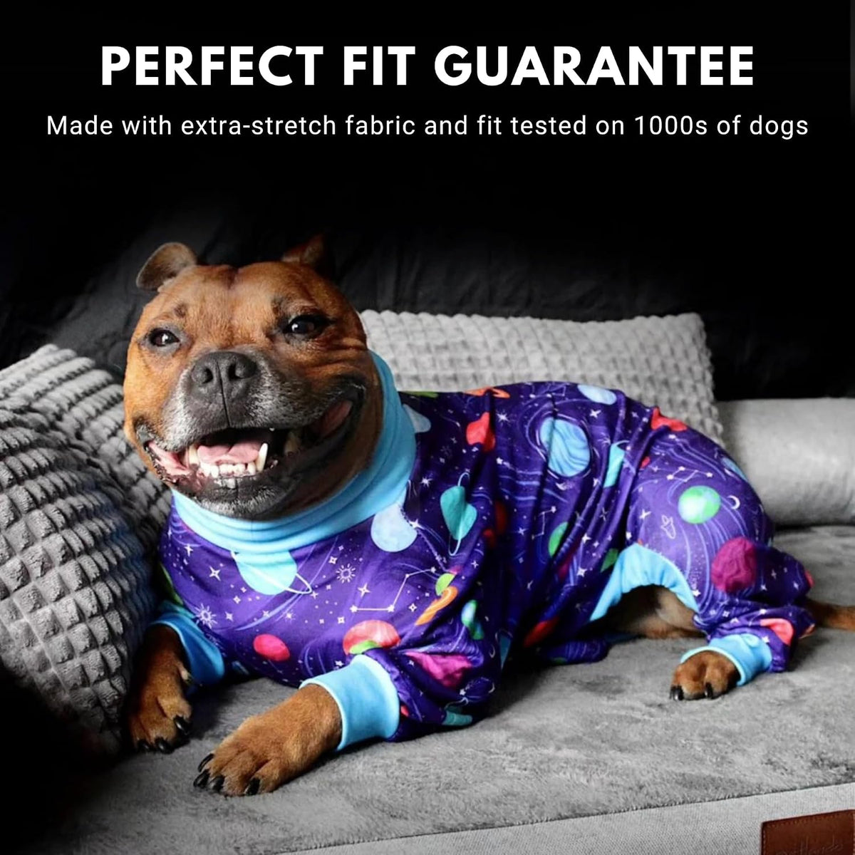Planets Dog Pajama