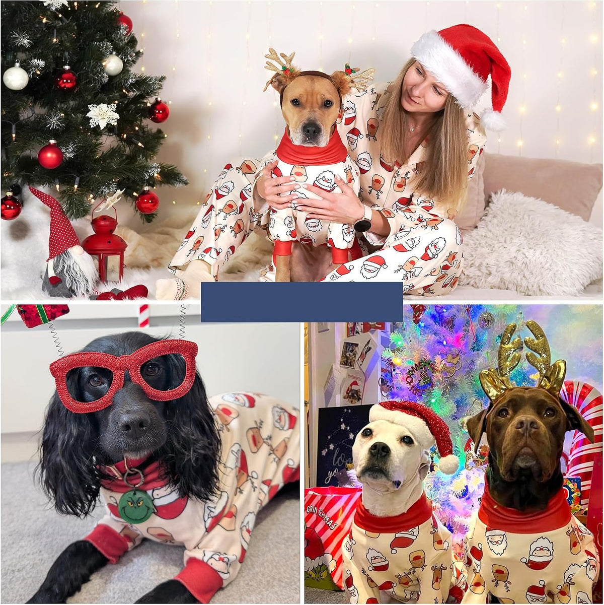 Santa Dog Pajama