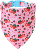 Strawberry Pet Bandana