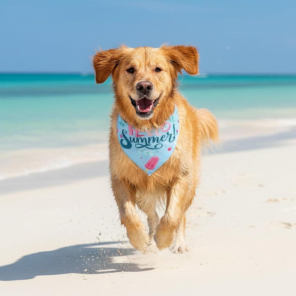 Summer Pet Bandana