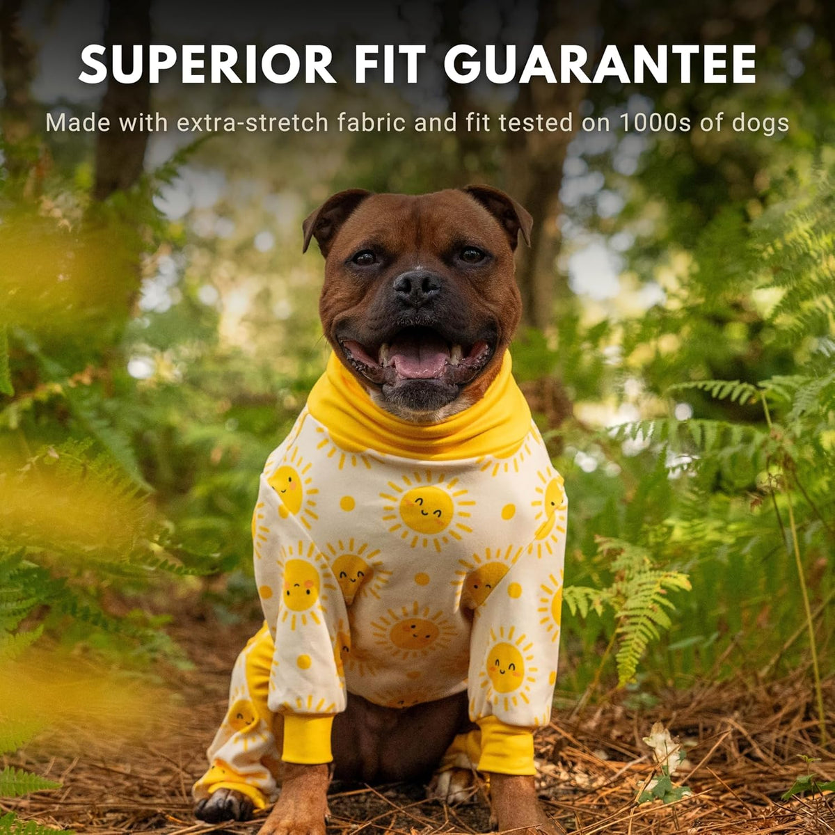 Sunny Dog Pajama